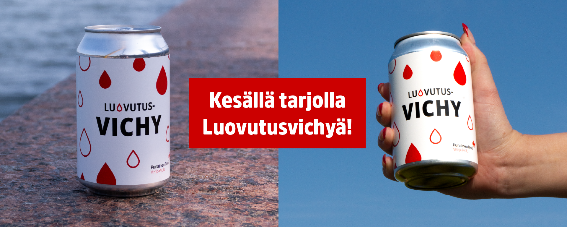 Veripalvelun Luovutusvichy