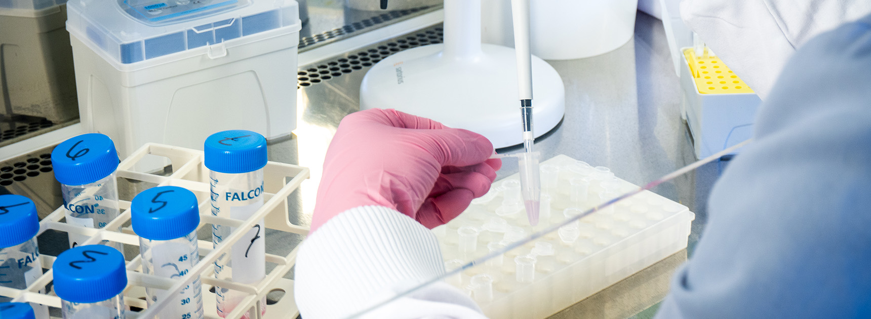 Application process for biobank material.