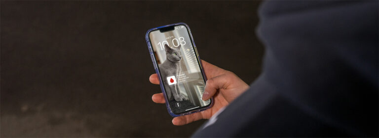 Luovuttajan sovelluksen viesti puhelimen ruudulla, jossa kissan kuva.