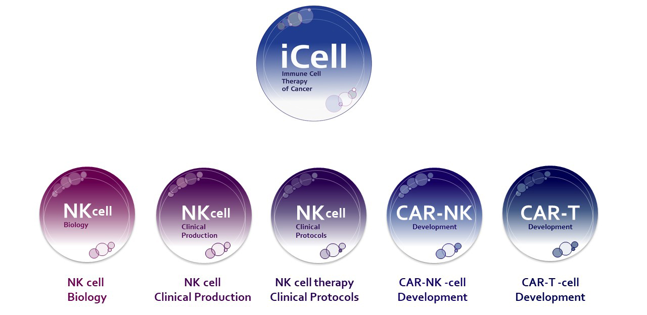 Project chart for iCell projects.