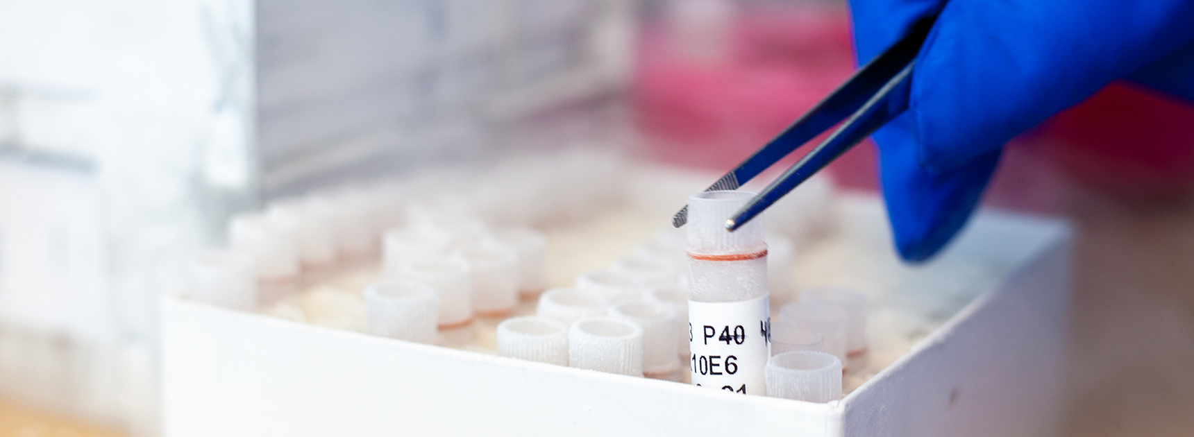 iCell – Immune Cell Therapy of Cancer - Blood Service