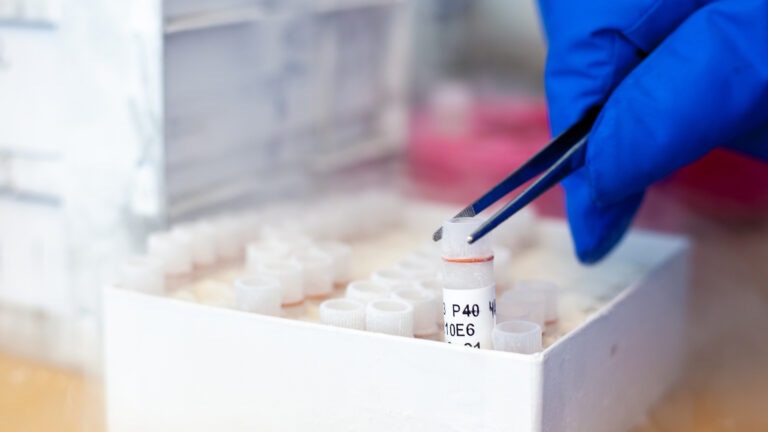 A researcher's hand uses tweezers to place a cell vial in a box.