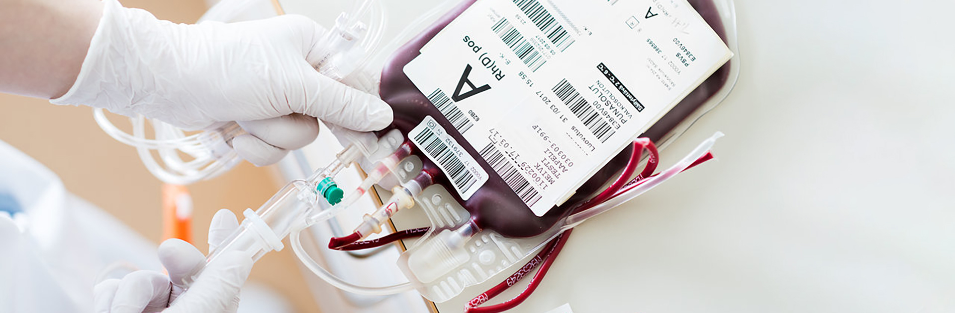 Hoitaja valmistelemassa verivalmistetta verensiirtoa varten.