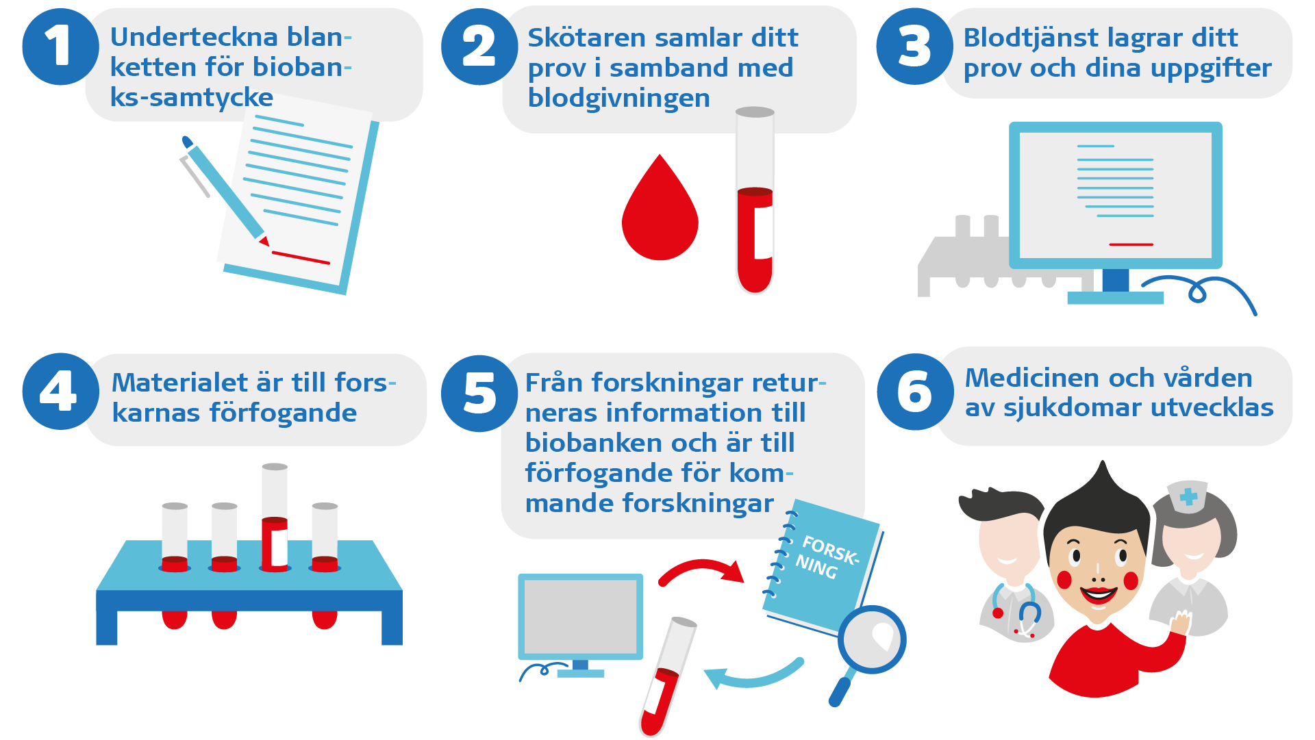 Infografik om att gå med i biobanken. Samma information finns nedan i text.