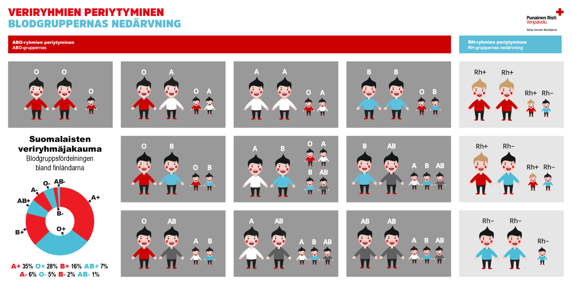 Infografiikka veriryhmien periytyvyydestä vanhemmilta lapsille.