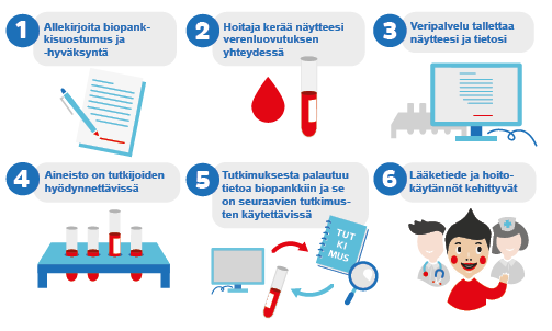 Infografiikka: Veripalvelun biopankkiin liittyminen vaihe vaiheelta.