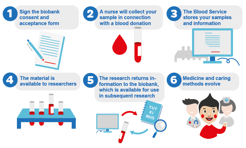 Infographic about joining the Blood Service Biobank.
