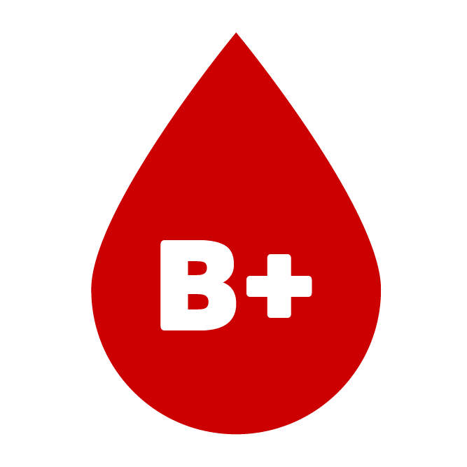  B+