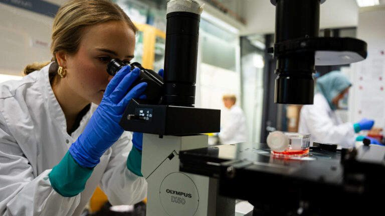 Veripalvelun laboratoriossa tutkija katsoo mikroskooppiin.