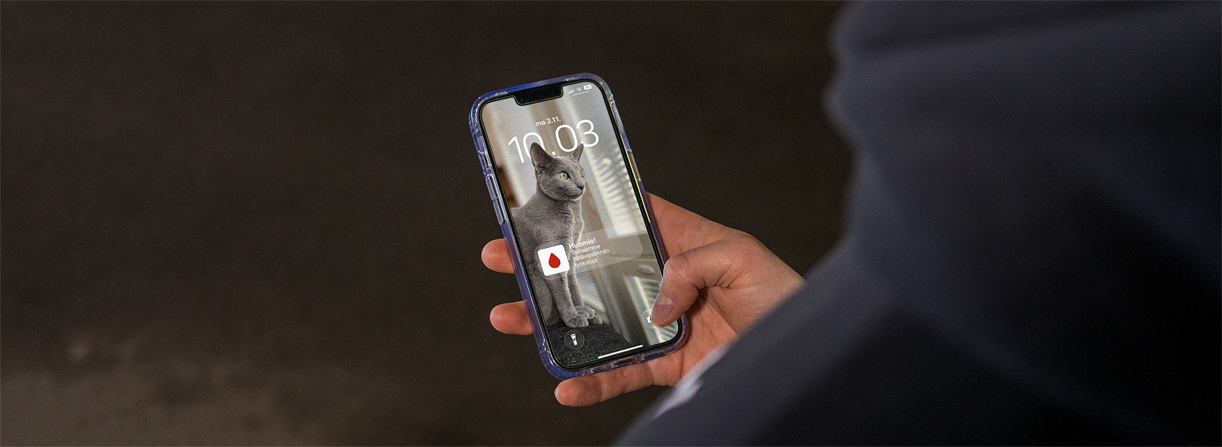 Luovuttajan sovelluksen viesti puhelimen ruudulla, jossa kissan kuva.